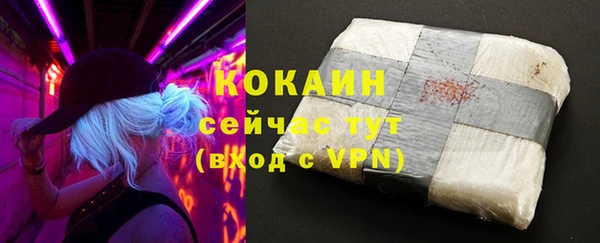 ешки Дмитриев