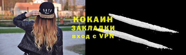 ешки Дмитриев