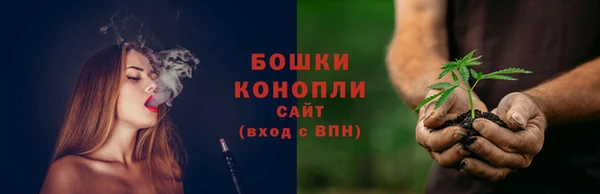 ешки Дмитриев
