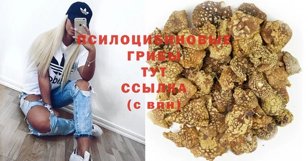 ешки Дмитриев
