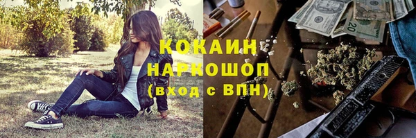 ешки Дмитриев
