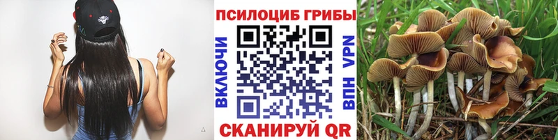 Купить закладки  Краснозаводск  Псилоцибиновые грибы мухоморы 