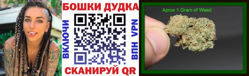 Купить  Краснозаводск  Каннабис сатива 